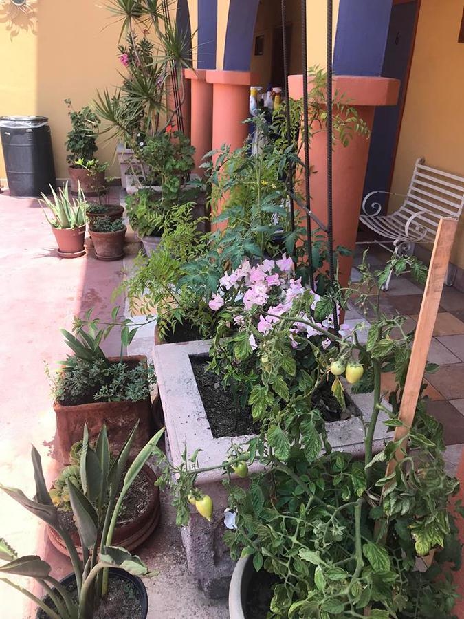Hotel Sevilla Tijuana Eksteriør bilde
